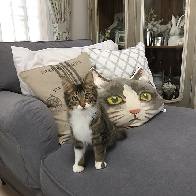 yuchiさんの実例写真