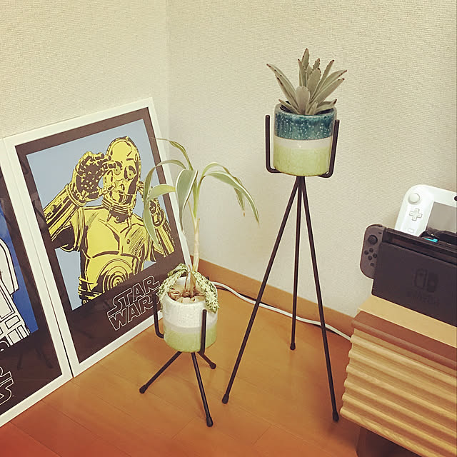 akinoさんの実例写真