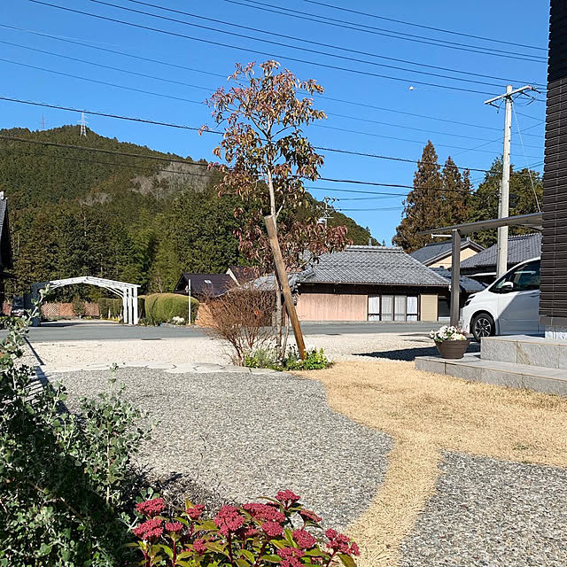 riiさんの実例写真