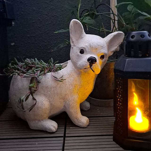 noaさんの部屋