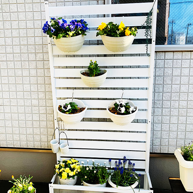 minminさんの部屋