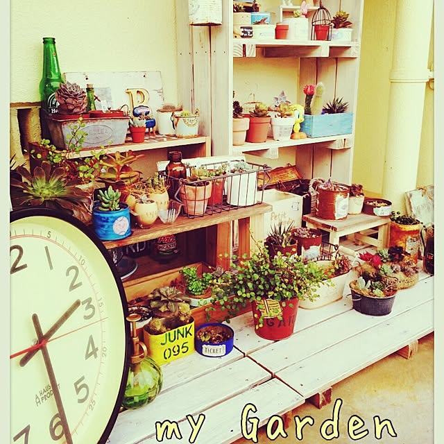 zu_kkyyさんの実例写真