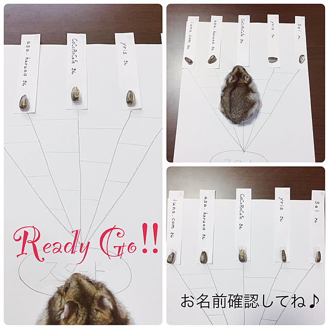hamu.haruさんの実例写真