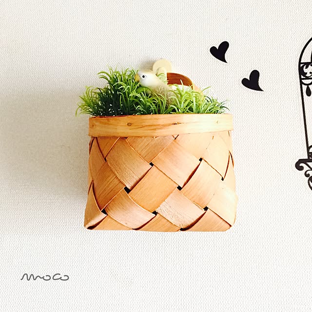 mocov_vmocoさんの実例写真