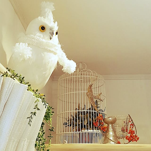 naive.coccoさんの実例写真
