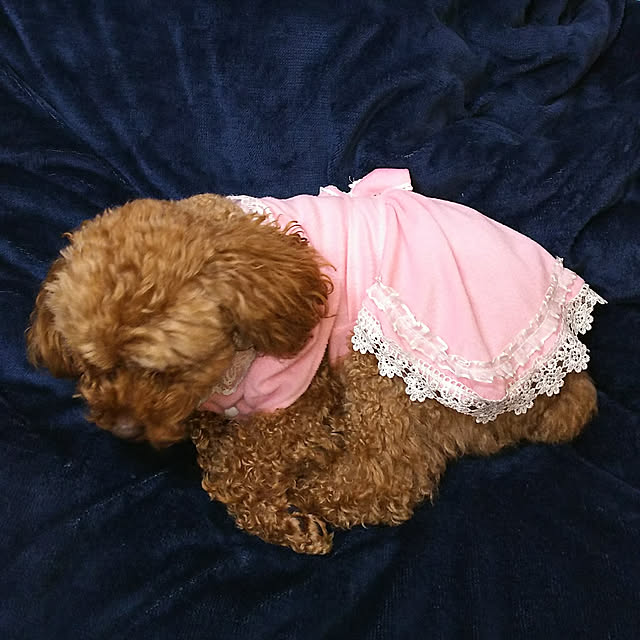 cherrycherryさんの実例写真