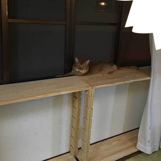 実例写真