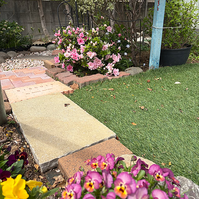 ronronさんの部屋