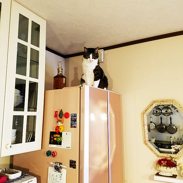 kimiさんの実例写真