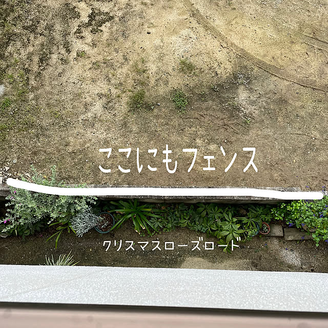 buchiさんの部屋