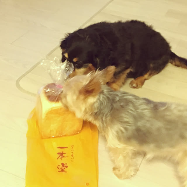 ohanaさんの実例写真