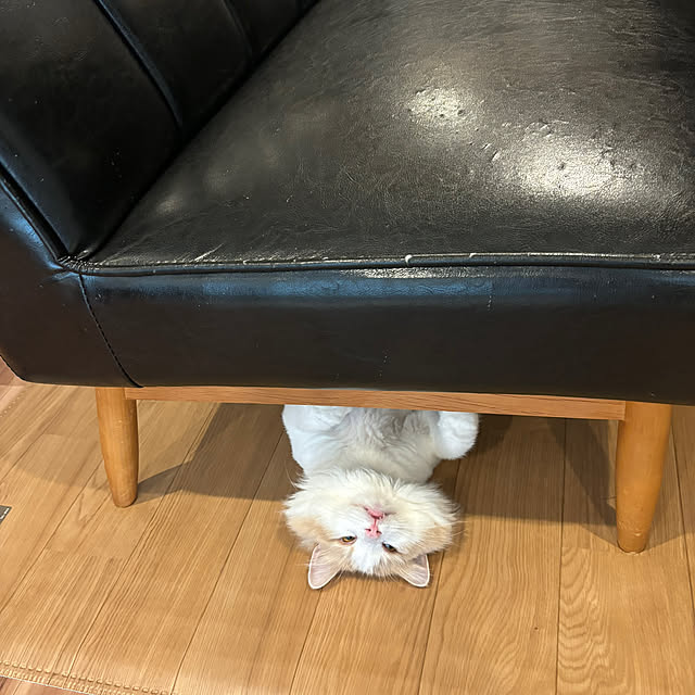 lovecofさんの部屋