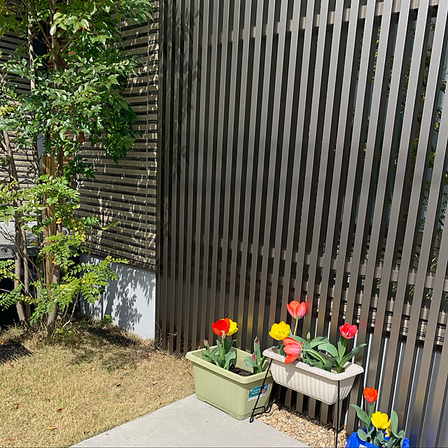 rikanchiさんの実例写真