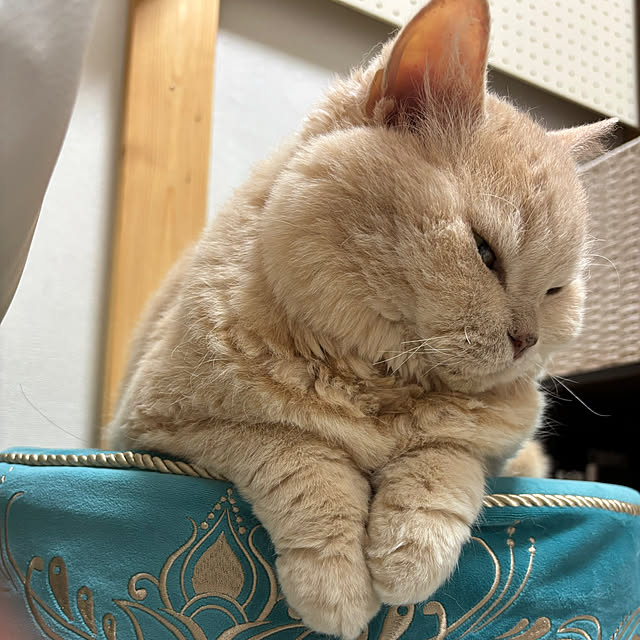 naokoさんの部屋