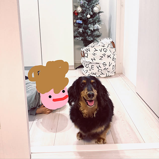 coro822さんの実例写真