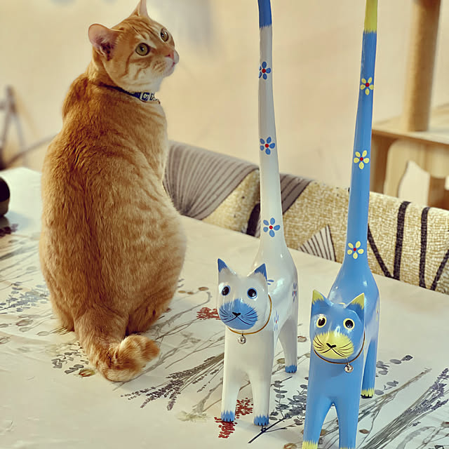 chiiさんの実例写真