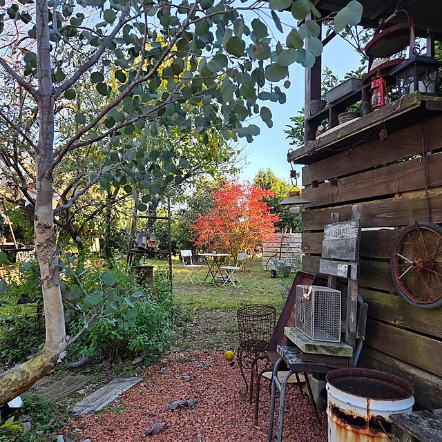 satomiさんの実例写真