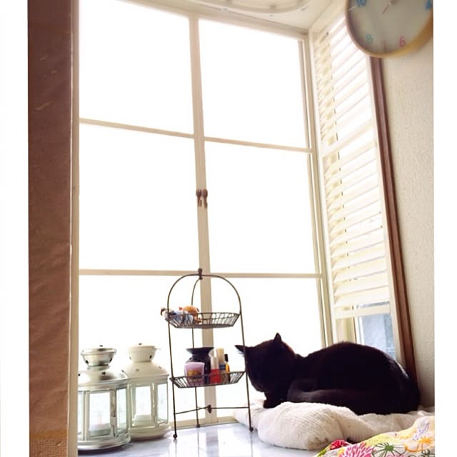 sminoeさんの実例写真