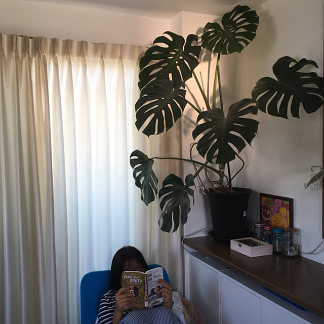 Ake.Aさんの実例写真