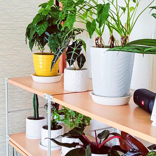 hanachanさんの部屋