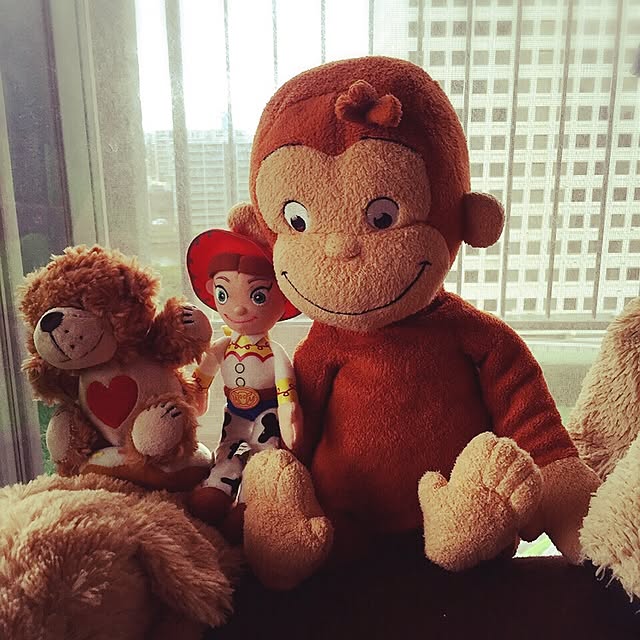 koto0321さんの実例写真
