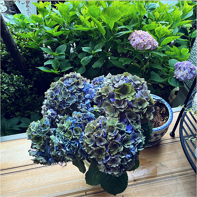 yukarin-gardenさんの実例写真