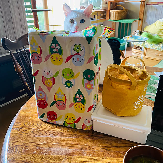 SHIHOさんの実例写真
