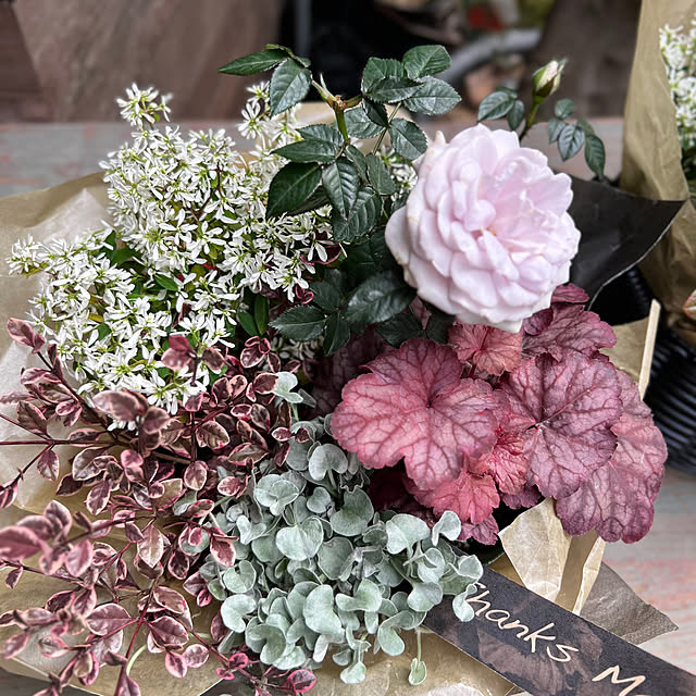 Royal_Gardeners_Clubさんの部屋