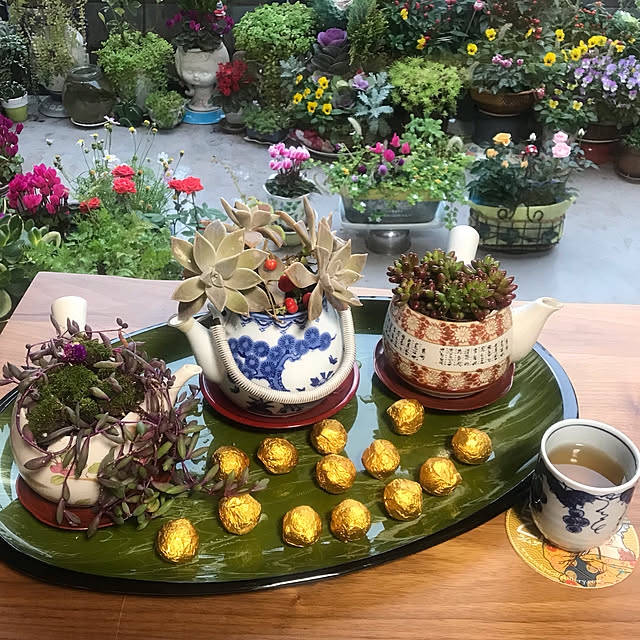 fuyiqian1026さんの実例写真