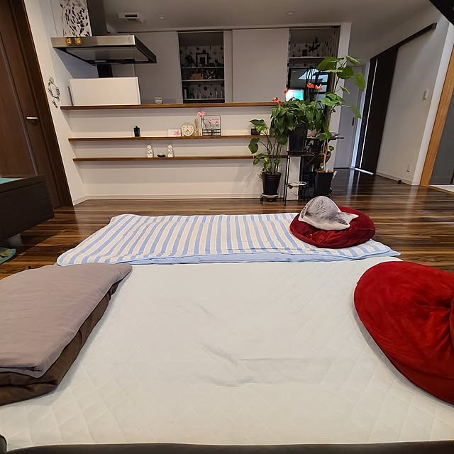 zenoさんの部屋