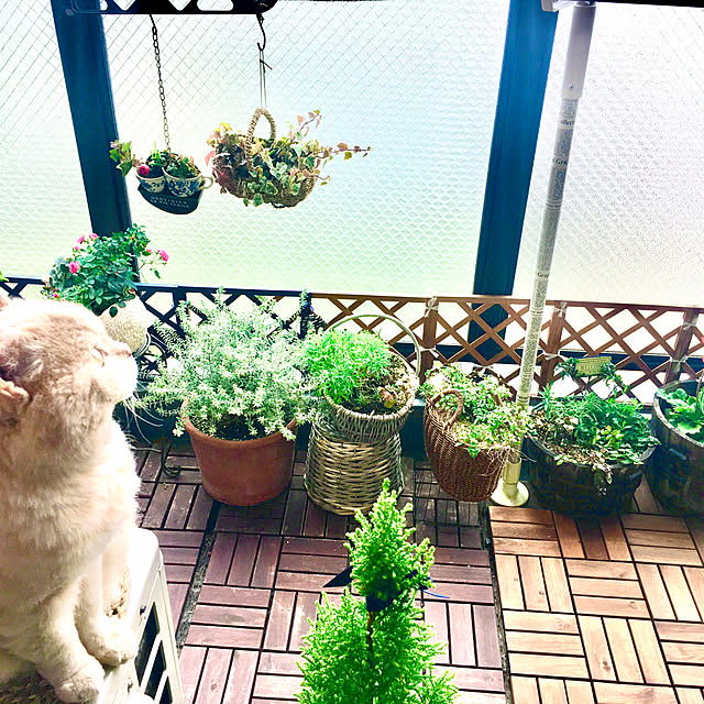 naokoさんの部屋
