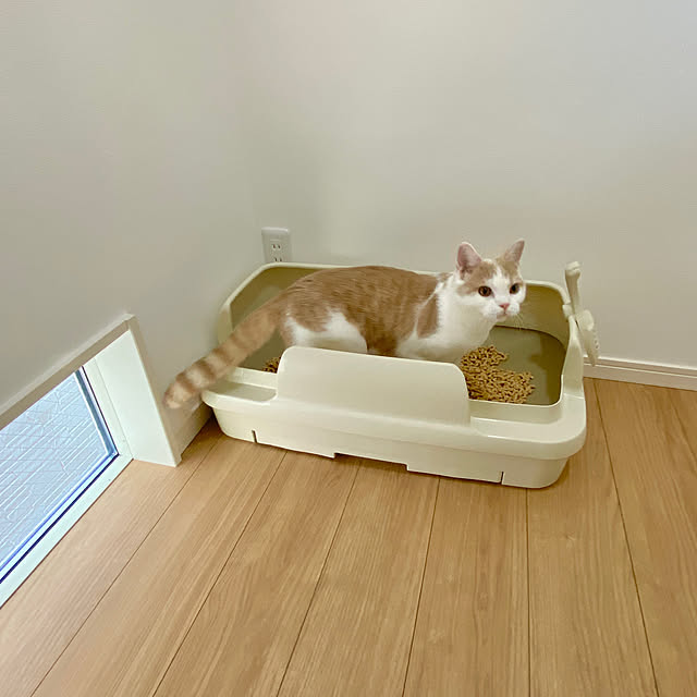 Tinaさんの実例写真