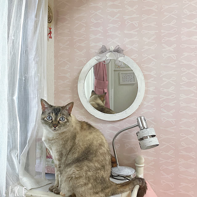 noelさんの実例写真