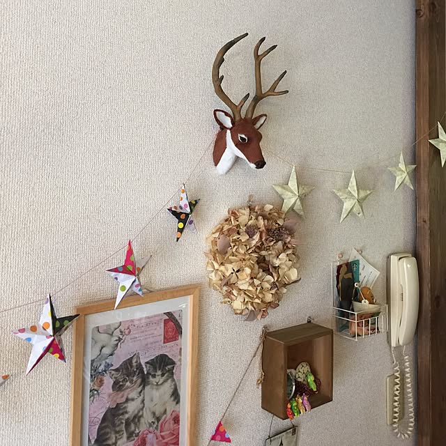 Kyokoさんの実例写真