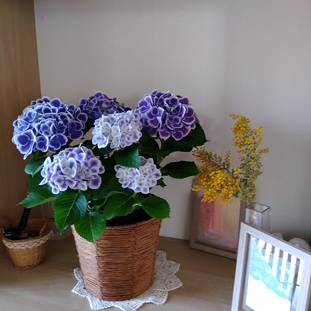 Motomeさんの部屋
