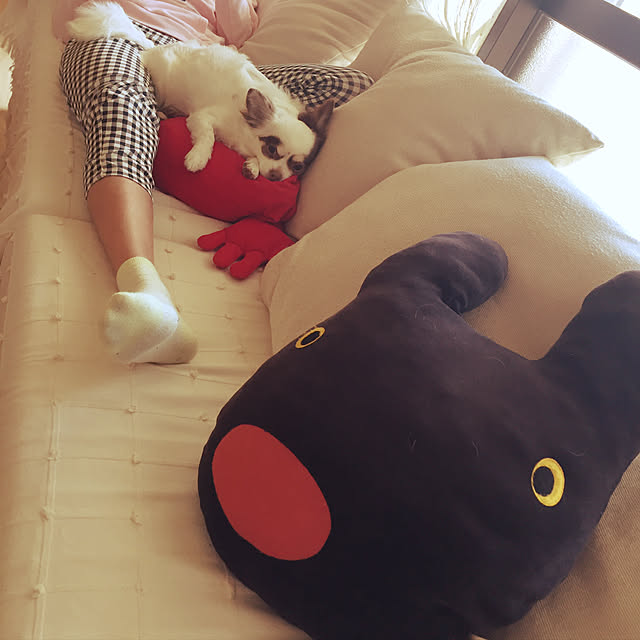Rihokoさんの実例写真