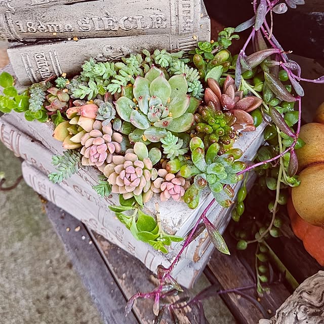 mocomocoさんの部屋