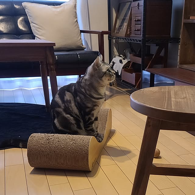 lovepeaceさんの部屋