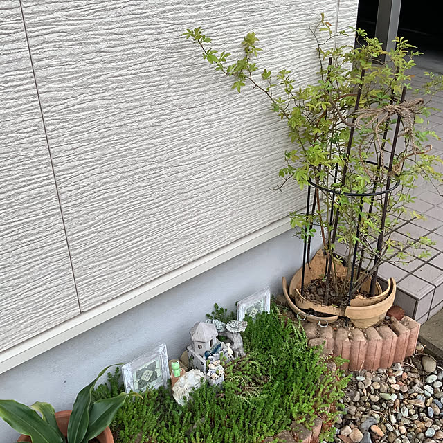 chiiyanさんの部屋