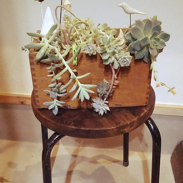 t.yumiさんの実例写真