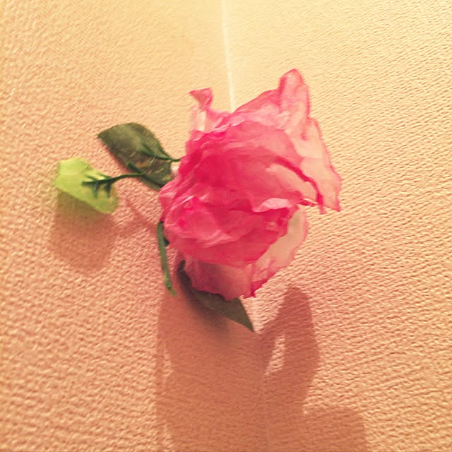 sattonさんの実例写真