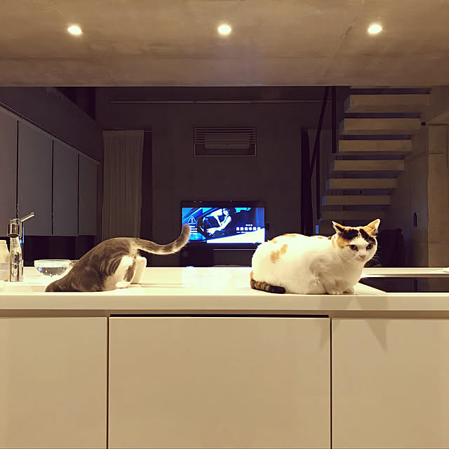 mashさんの実例写真