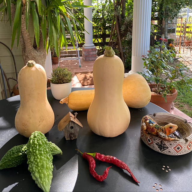 misacoさんの実例写真