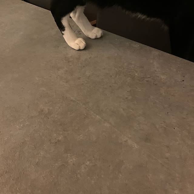 pepperさんの実例写真