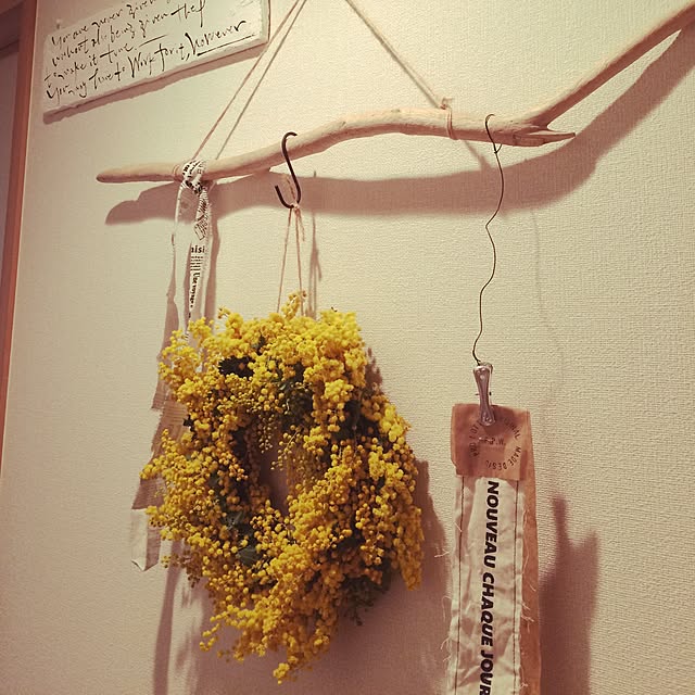 morishanさんの実例写真