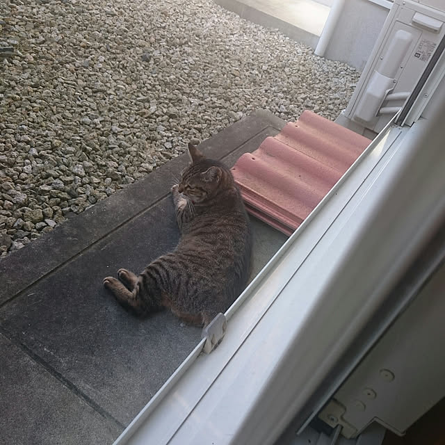 lilyさんの実例写真