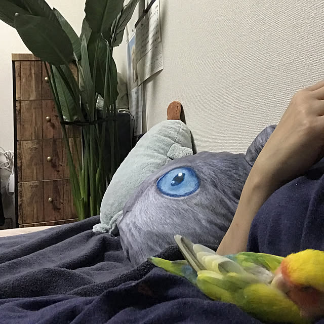 keinagen91さんの実例写真