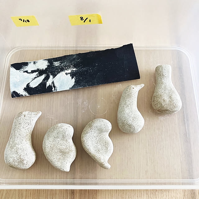 suna_kitsuneさんの実例写真