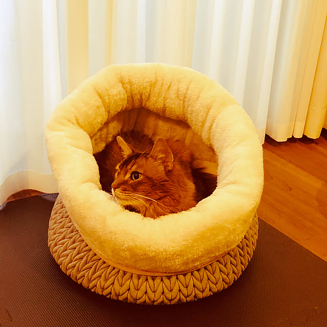 yuさんの実例写真
