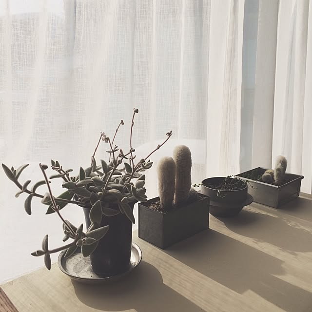 roniqueさんの実例写真